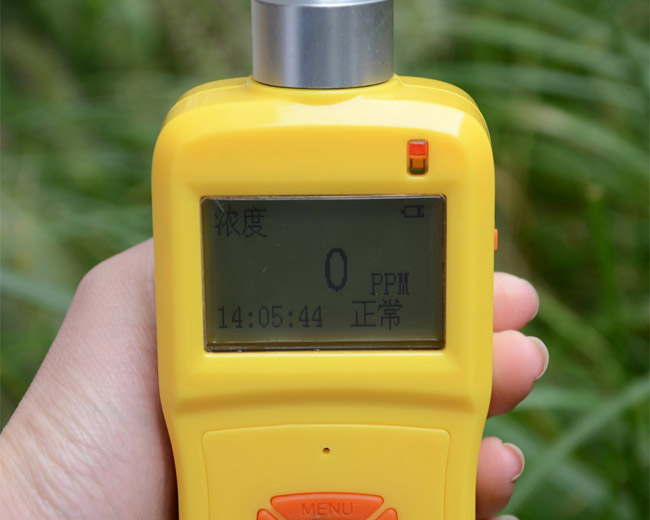 RT-Kp830内置泵吸式气体检测仪