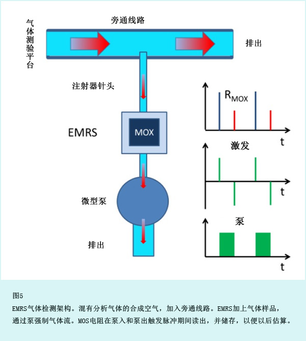 图5: EMRS气体检测架构