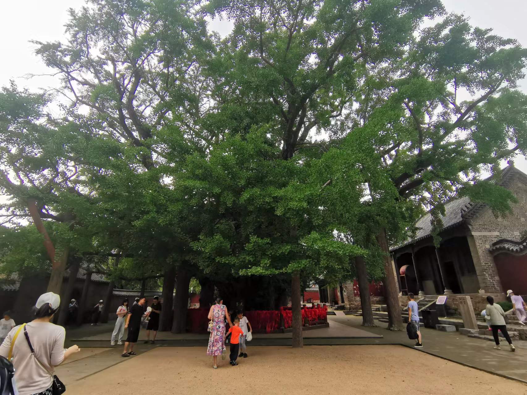 山东如特安防2022年夏季旅游团建活动圆满结束(图2)