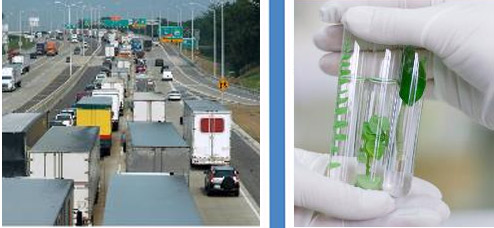 交通排尾气，封闭的杯中无苯