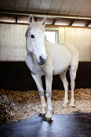 氨气味道不好，没有精神
