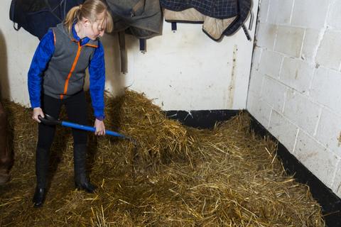 员工在有氨气的马棚叉草